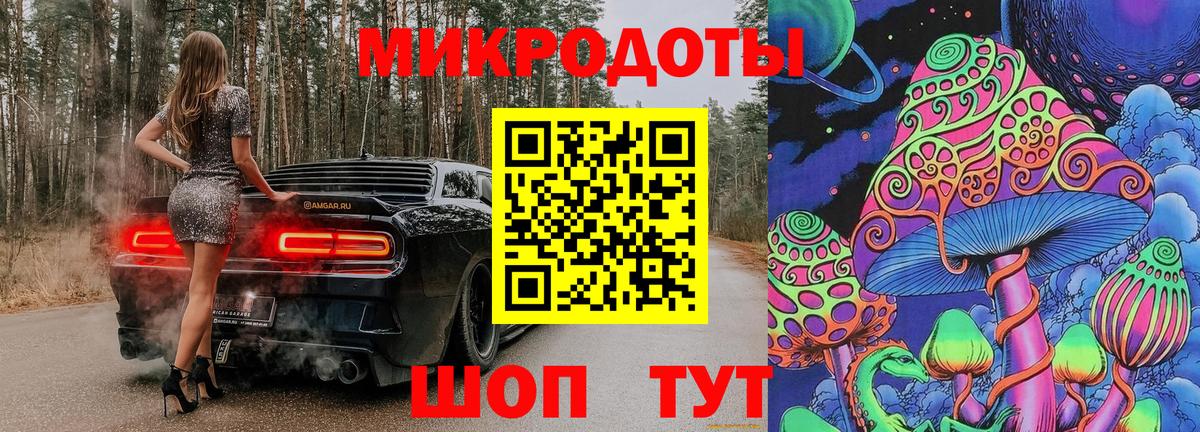 Галлюциногенные грибы Psilocybe Туапсе
