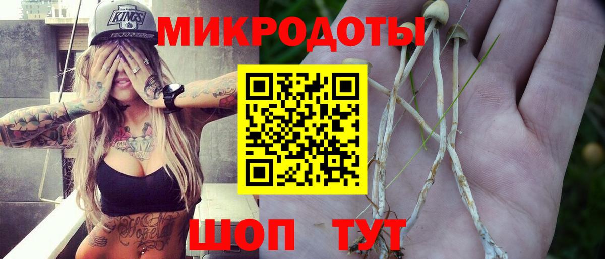 Галлюциногенные грибы MAGIC MUSHROOMS  наркота  Туапсе  Вход с VPN 