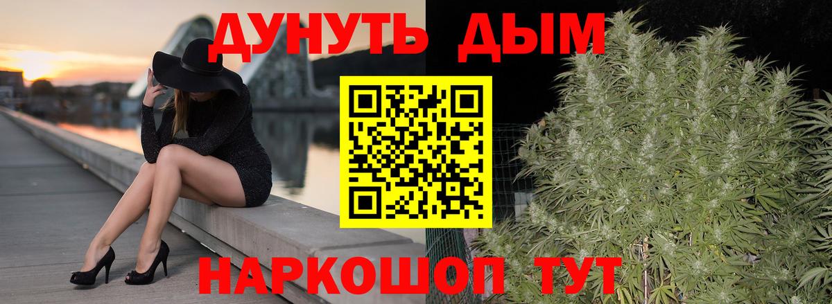 Конопля сатива Туапсе